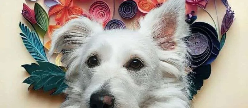 Egresada de la Escuela Europea Des Arts, Laura Arcila Cortés, publica «Huellas & Flores» a beneficio de los animales