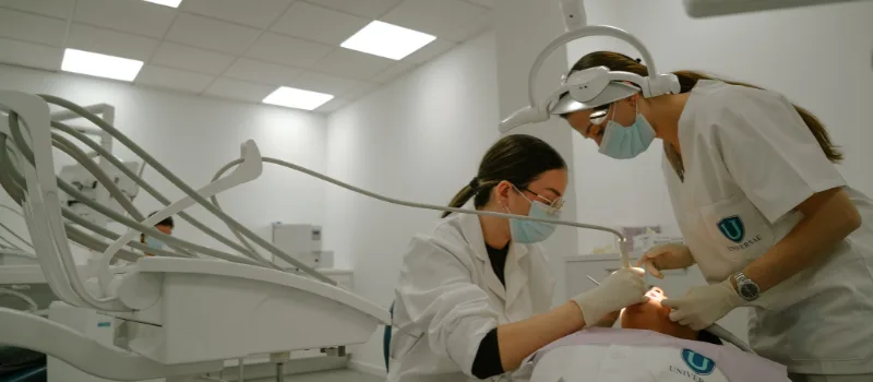 España, el país con mayor sobrecualificación universitaria de la UE, mientras las ofertas laborales priorizan la FP