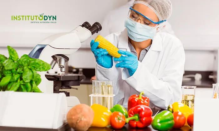 Los mejores cursos de Instituto DYN para trabajar en la industria alimentaria