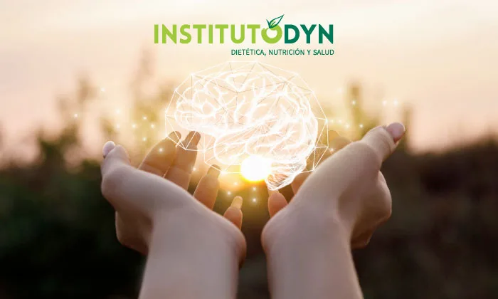 El máster en Neuropsicología de Instituto DYN, uno de los másteres más demandados en España