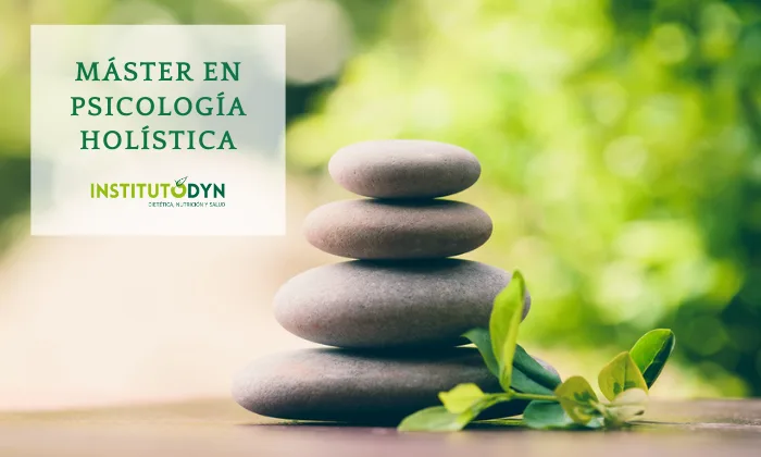 Instituto DYN presenta su Máster en Psicología Holística