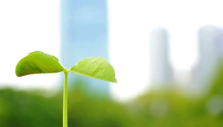 El MBA responsable que forma lideres íntegros