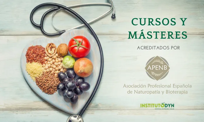 Instituto DYN ofrece másteres avalados por la Asociación Profesional Española de Naturopatía y Bioterapia (A.P.E.N.B.)