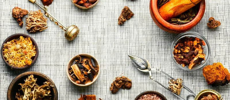 Instituto DYN: formación en naturopatía online que sus alumnos recomiendan